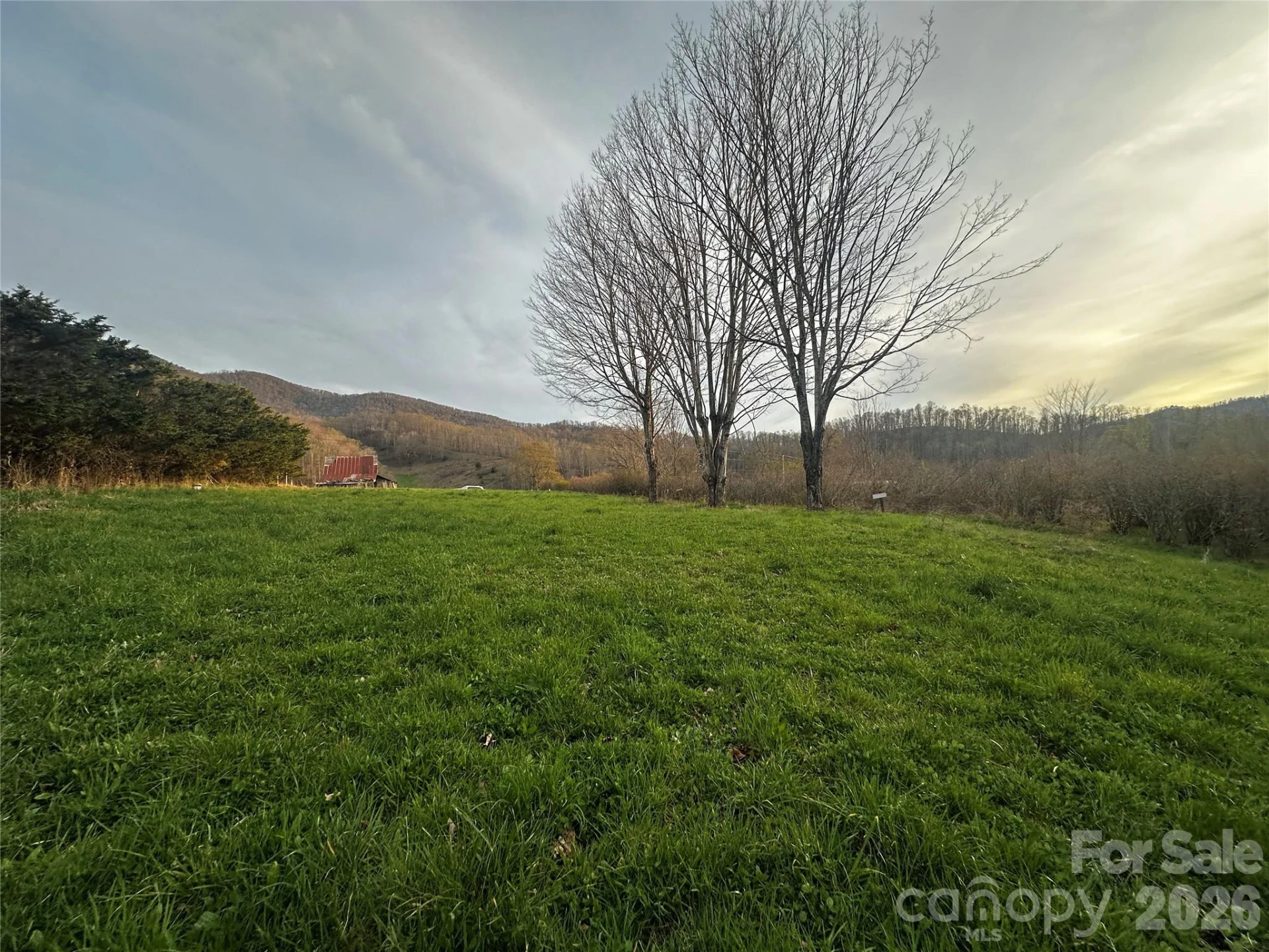 497 Odoms Chapel Road - Photo 3