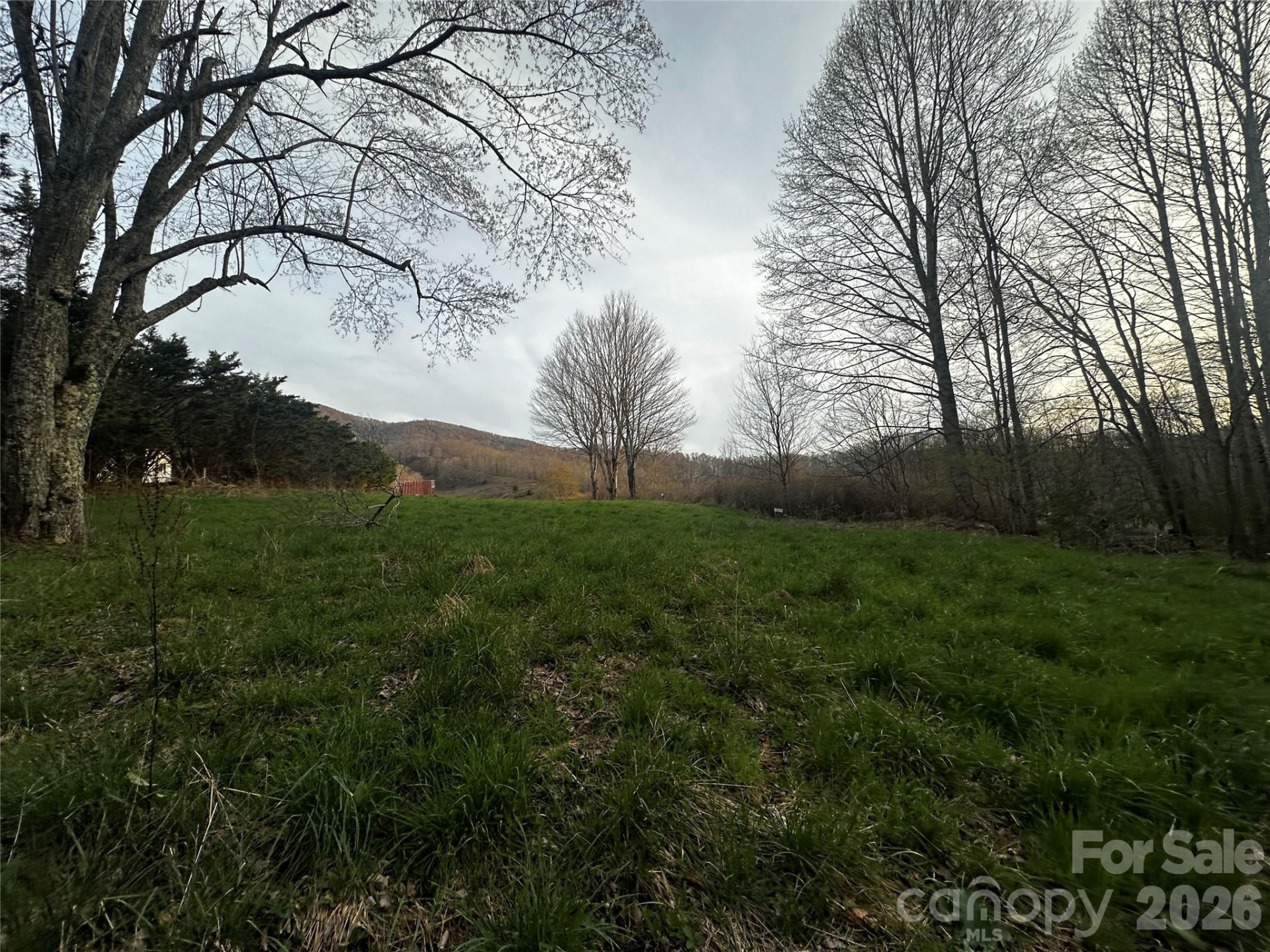497 Odoms Chapel Road - Photo 4