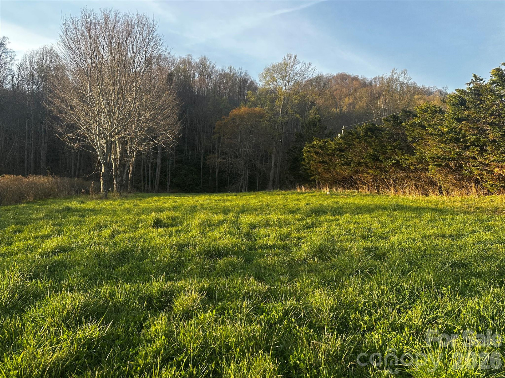 497 Odoms Chapel Road - Photo 5