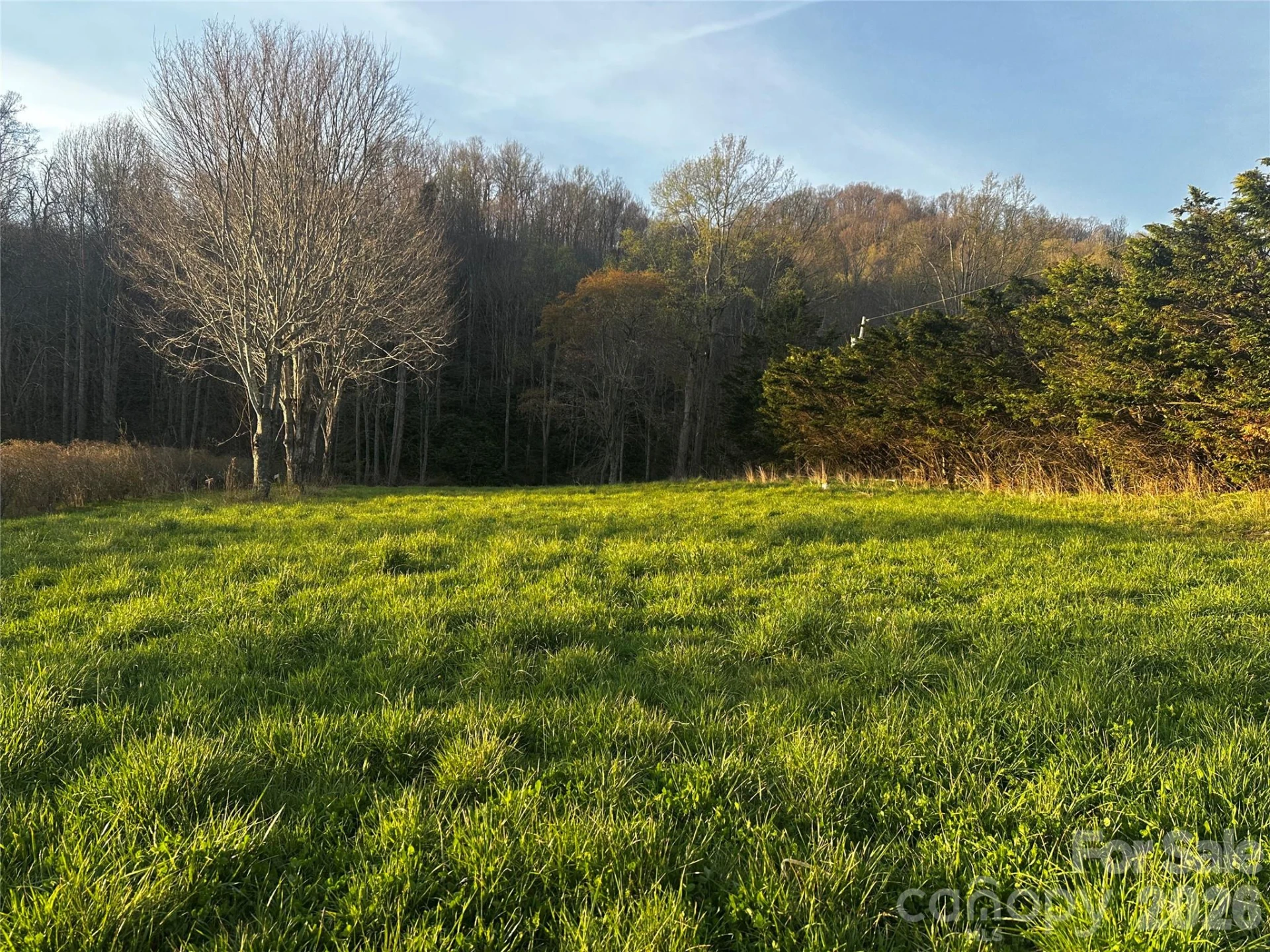 497 Odoms Chapel Road - Photo 5