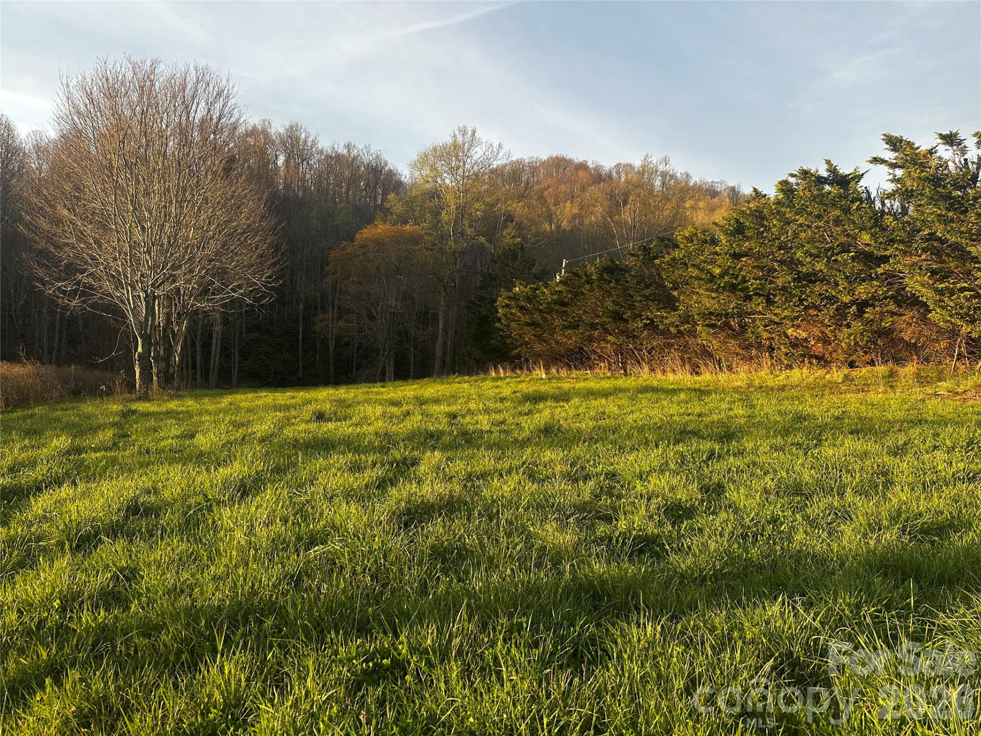 497 Odoms Chapel Road - Photo 6