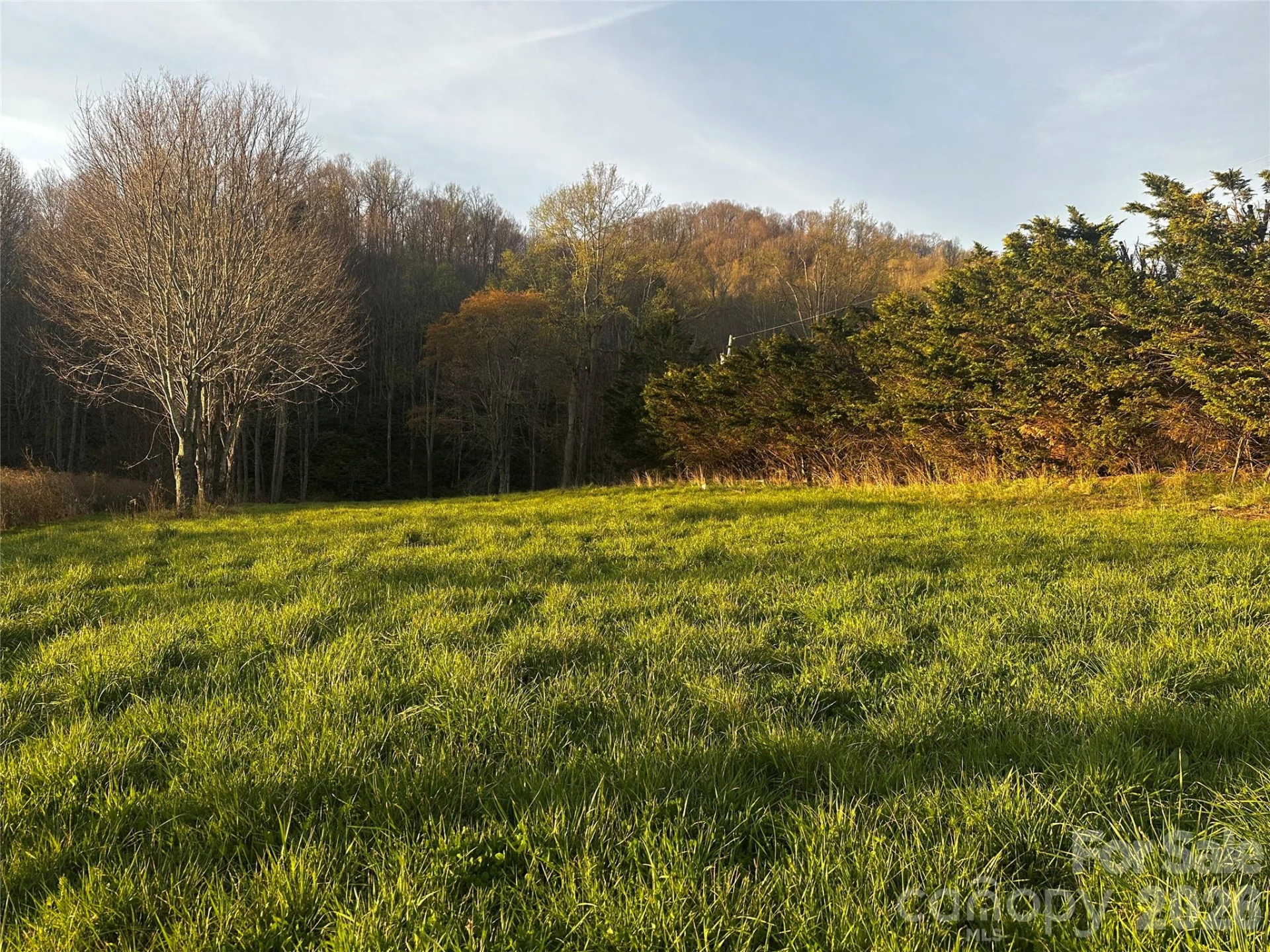 497 Odoms Chapel Road - Photo 6