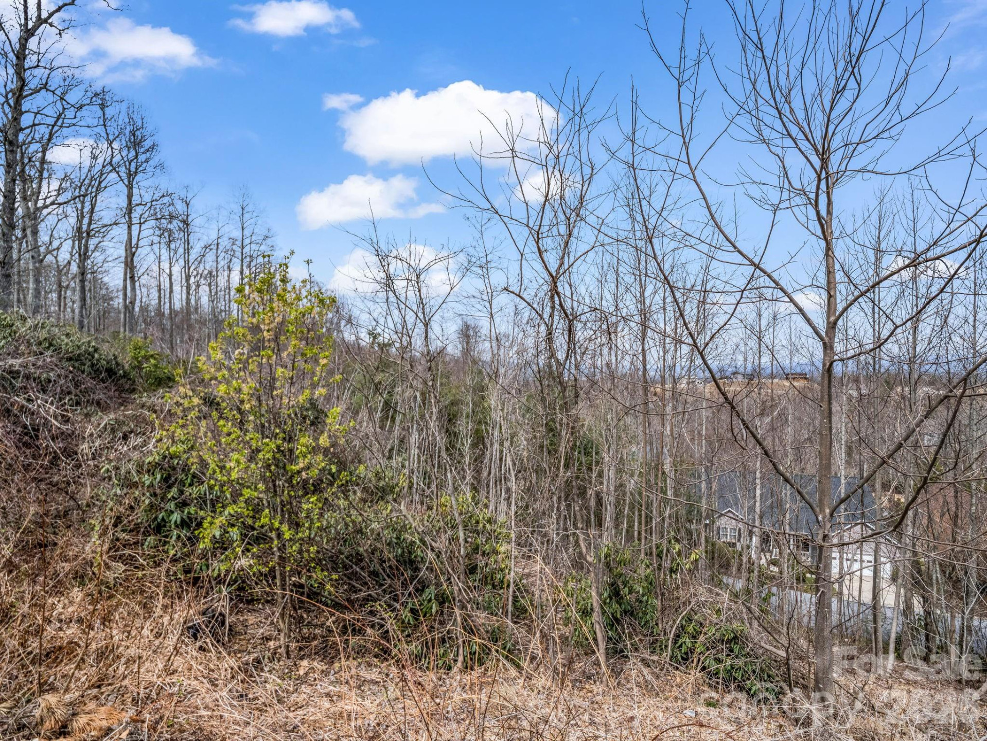 2325 Pommel Road #2325 - Photo 15