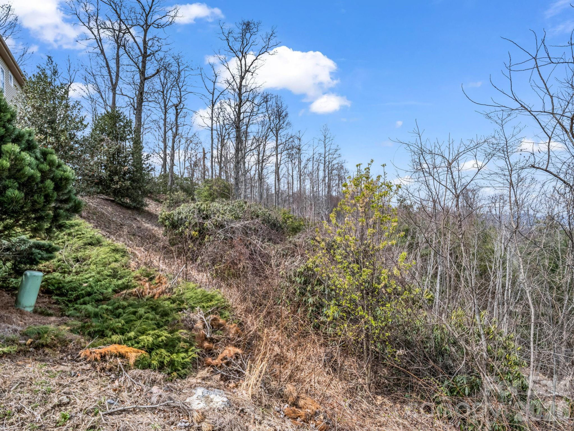 2325 Pommel Road #2325 - Photo 17