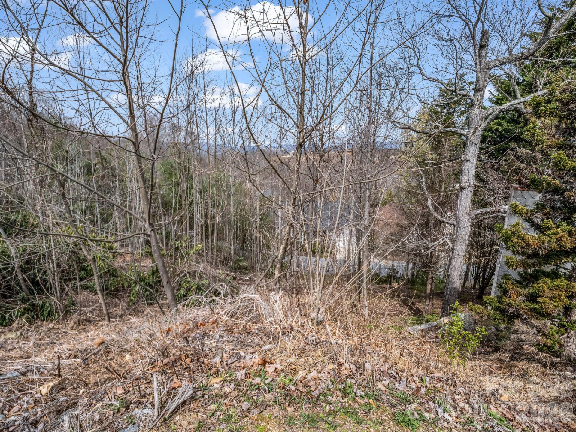 2325 Pommel Road #2325 - Photo 18