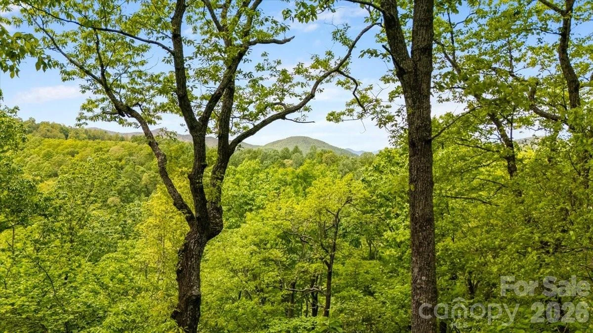 100 Gold Creek Crossing - Photo 38