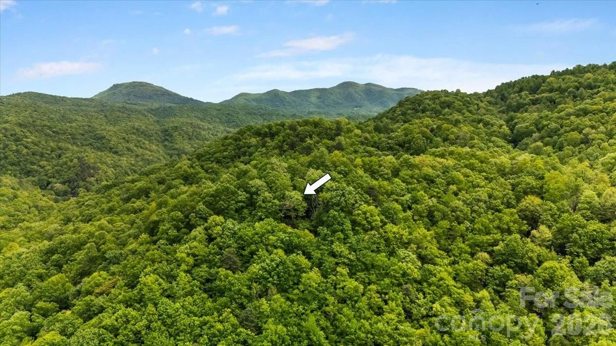 100 Gold Creek Crossing - Photo 42
