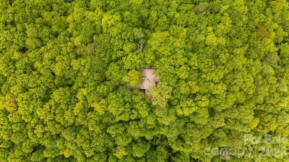 100 Gold Creek Crossing - Photo 44