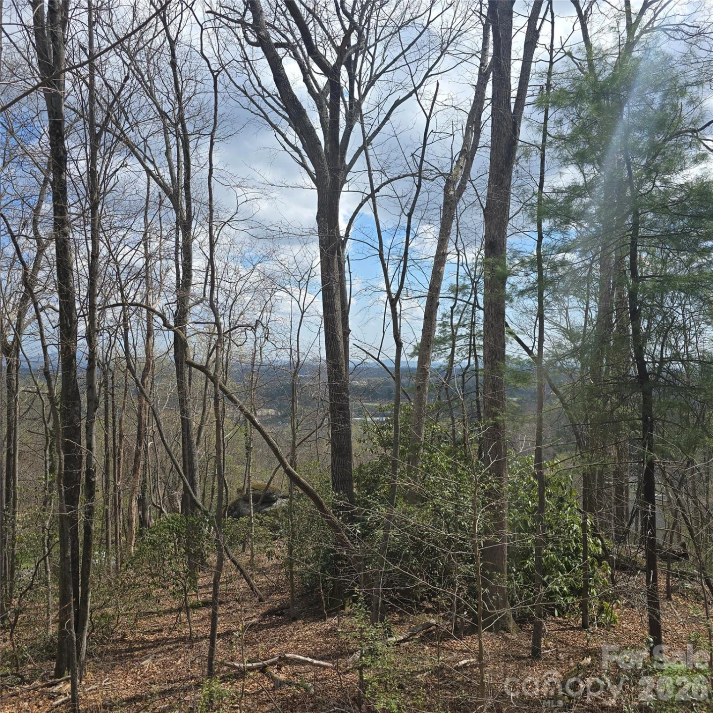 185 Garnet Way #Lot 13 - Photo 3