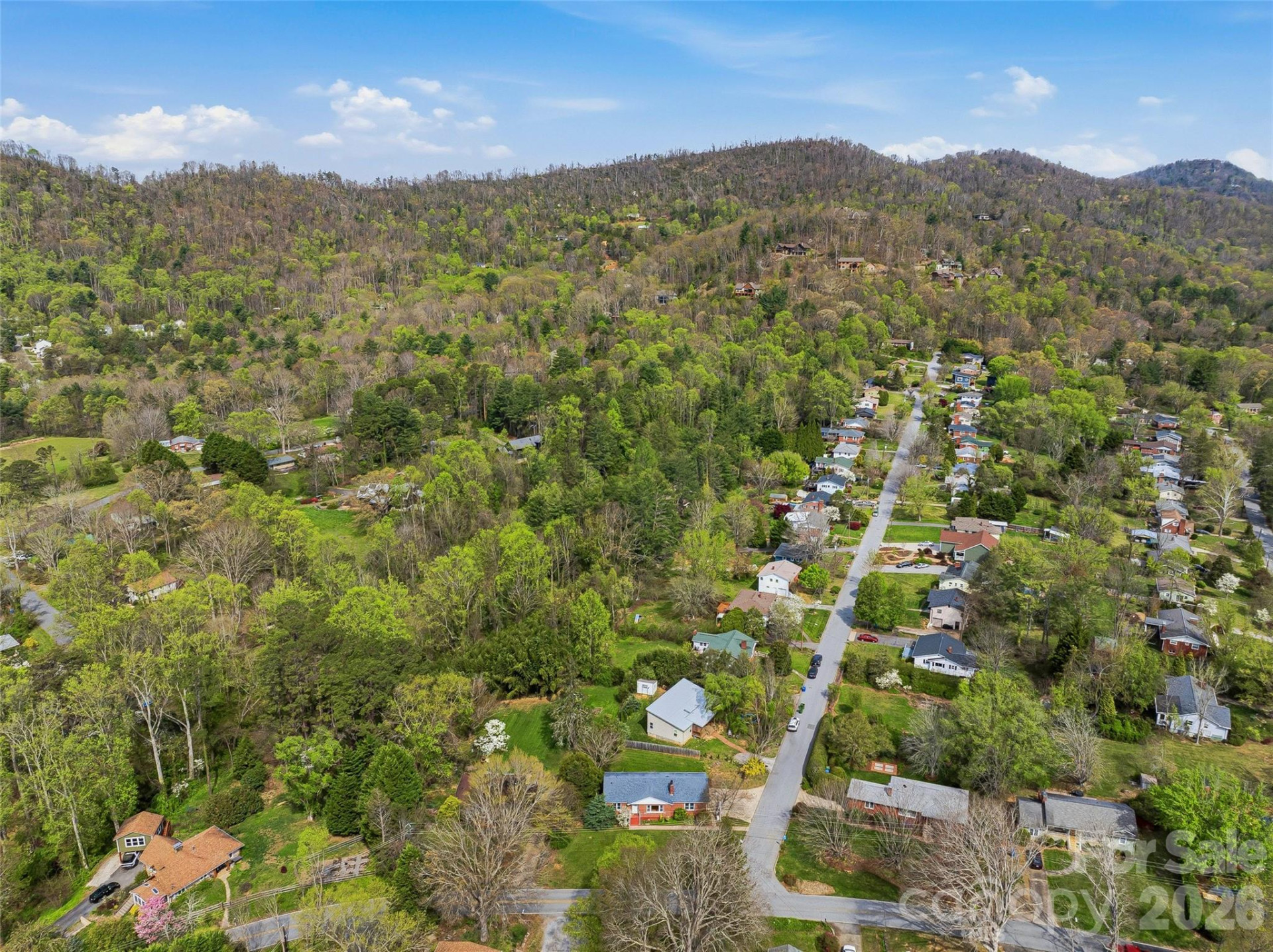 274 Old Haw Creek Road - Photo 27