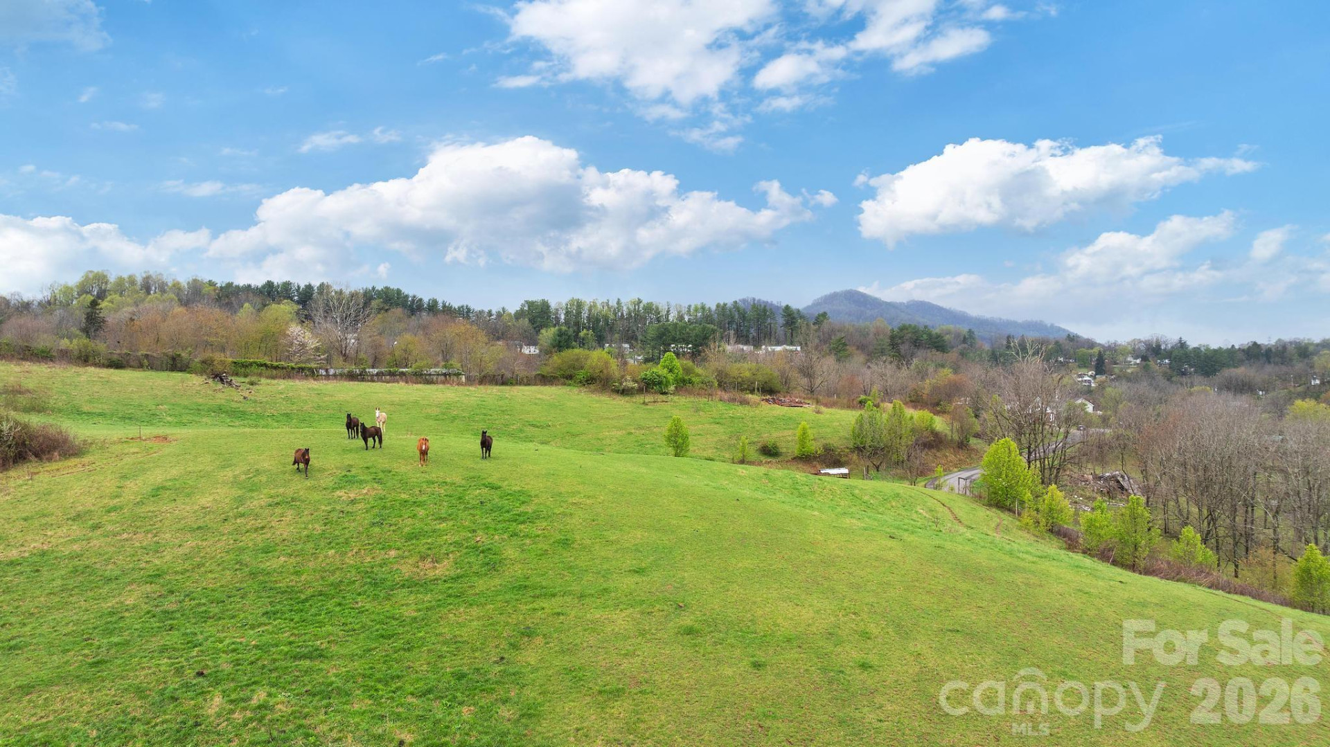 618 Beaverdam Street - Photo 13