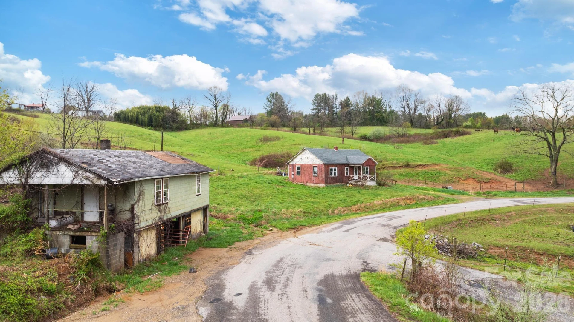 618 Beaverdam Street - Photo 16