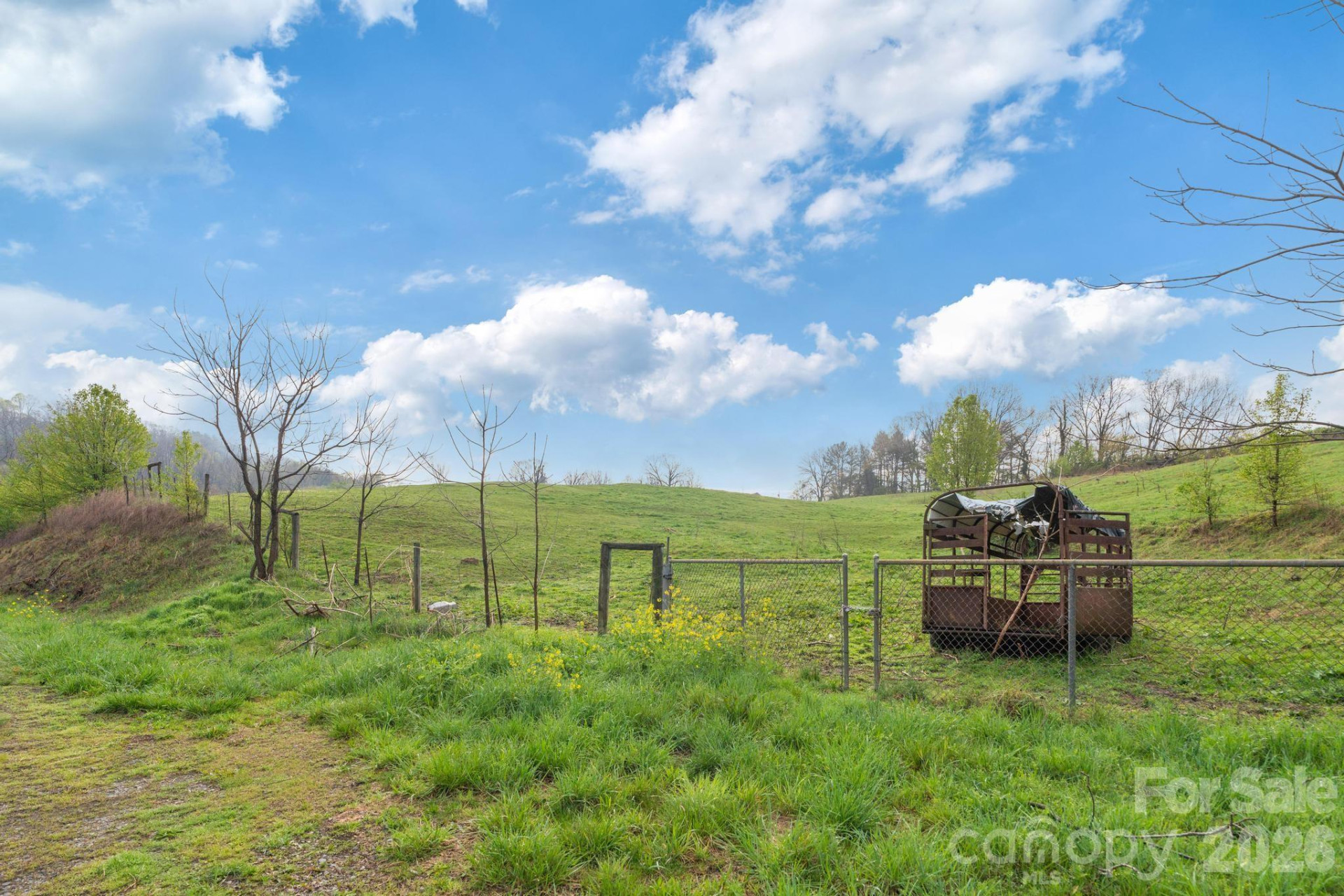 618 Beaverdam Street - Photo 20