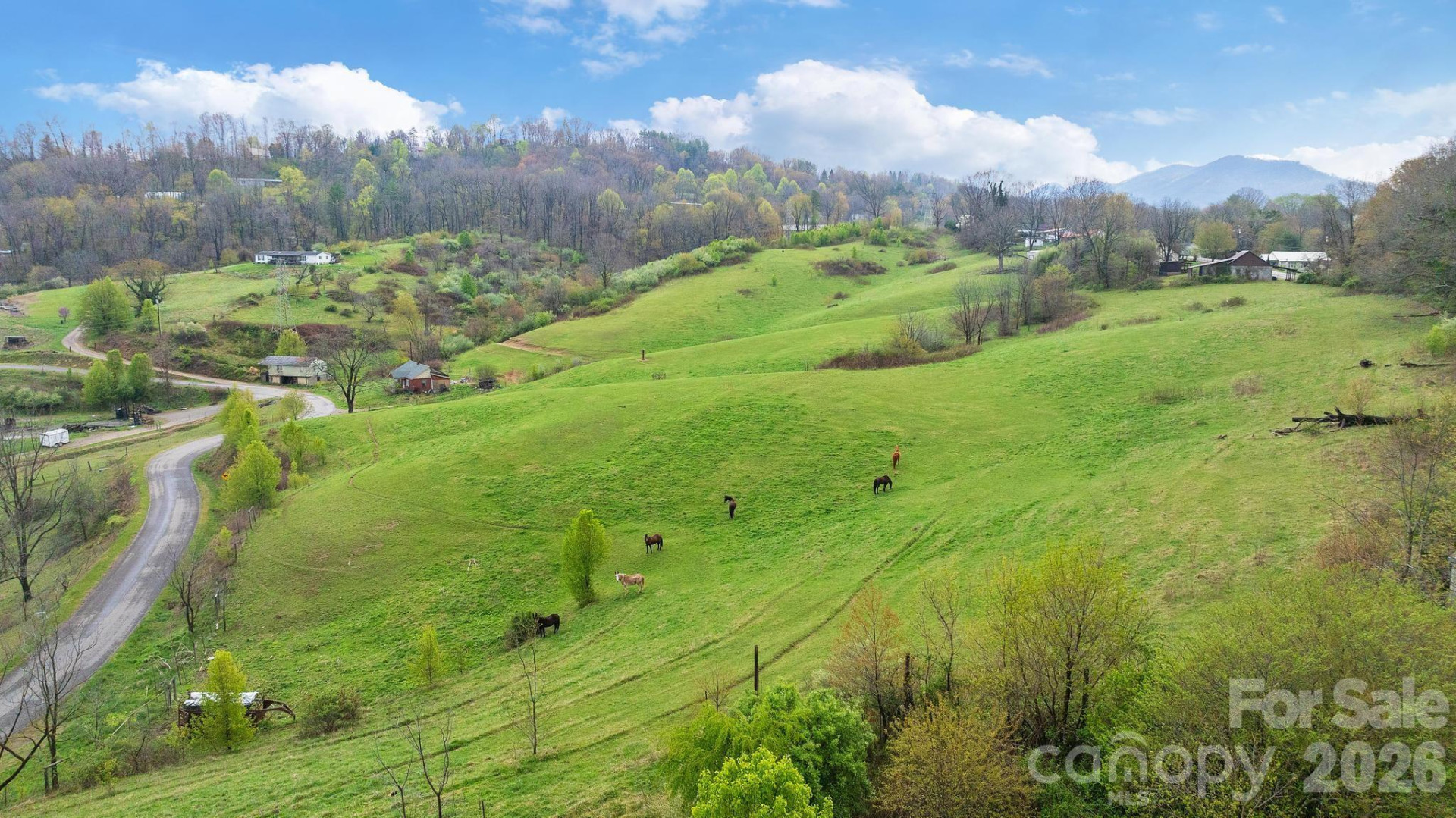 618 Beaverdam Street - Photo 3