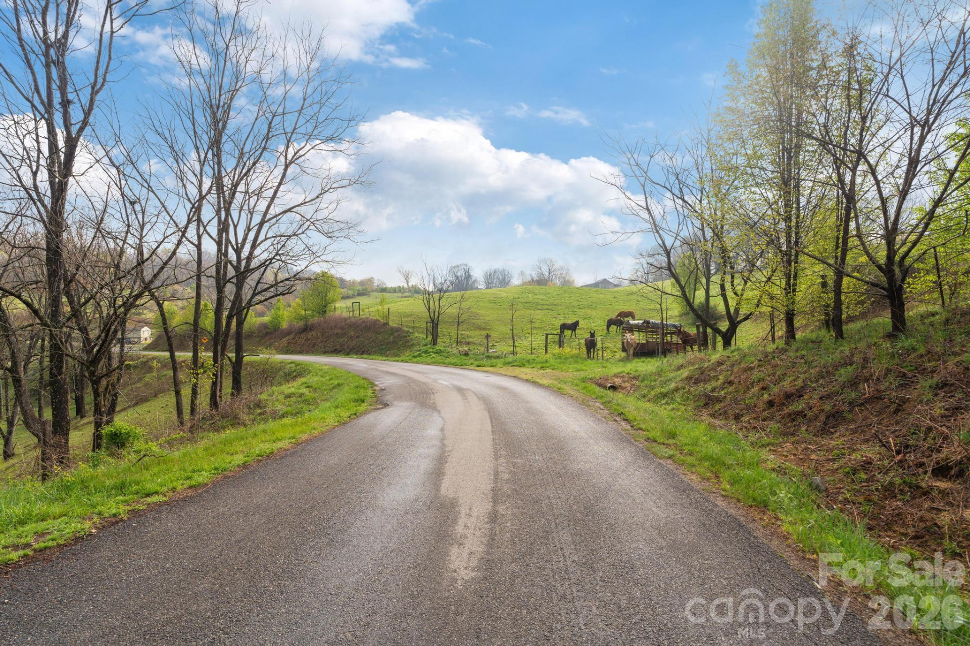 618 Beaverdam Street - Photo 21