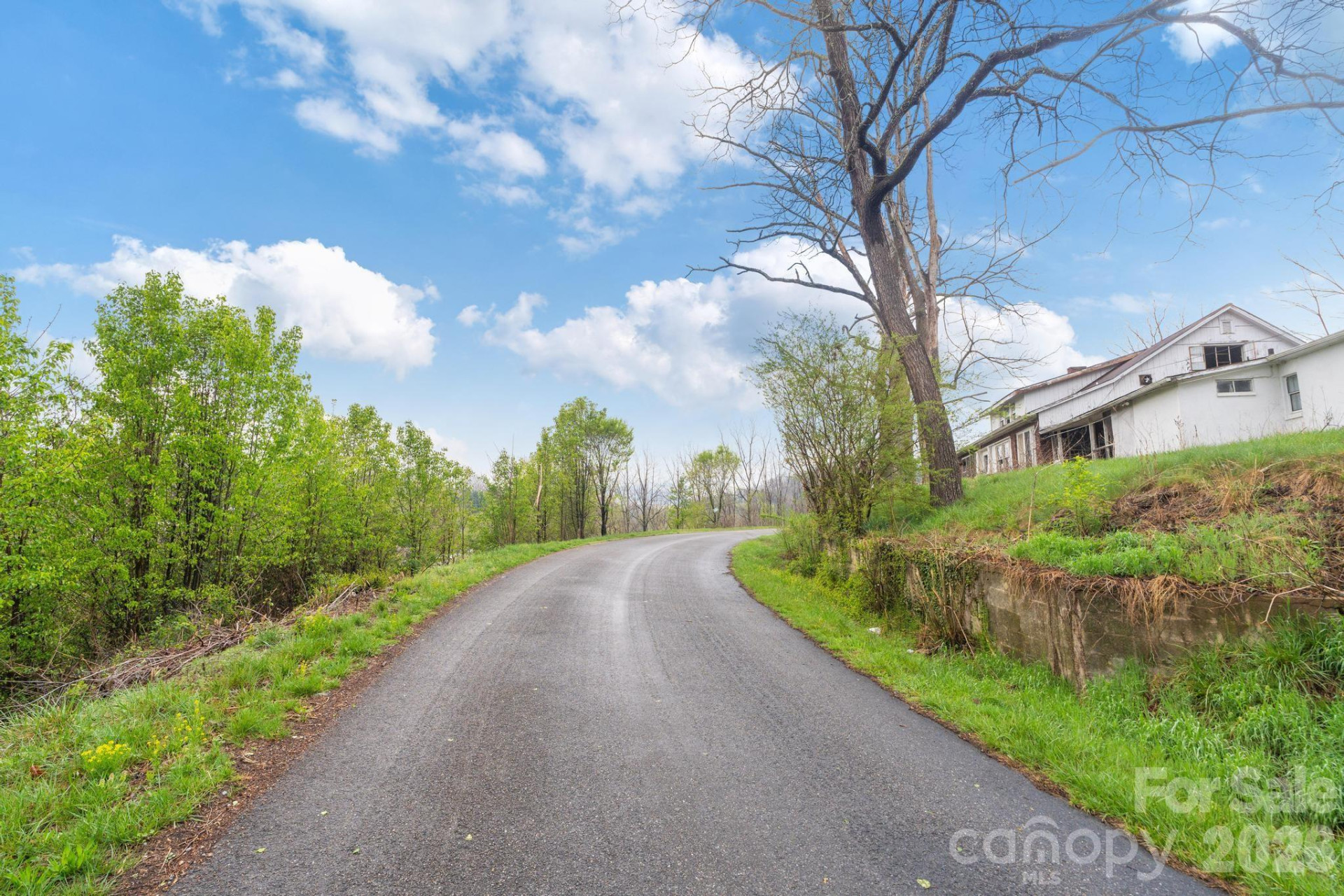 618 Beaverdam Street - Photo 6