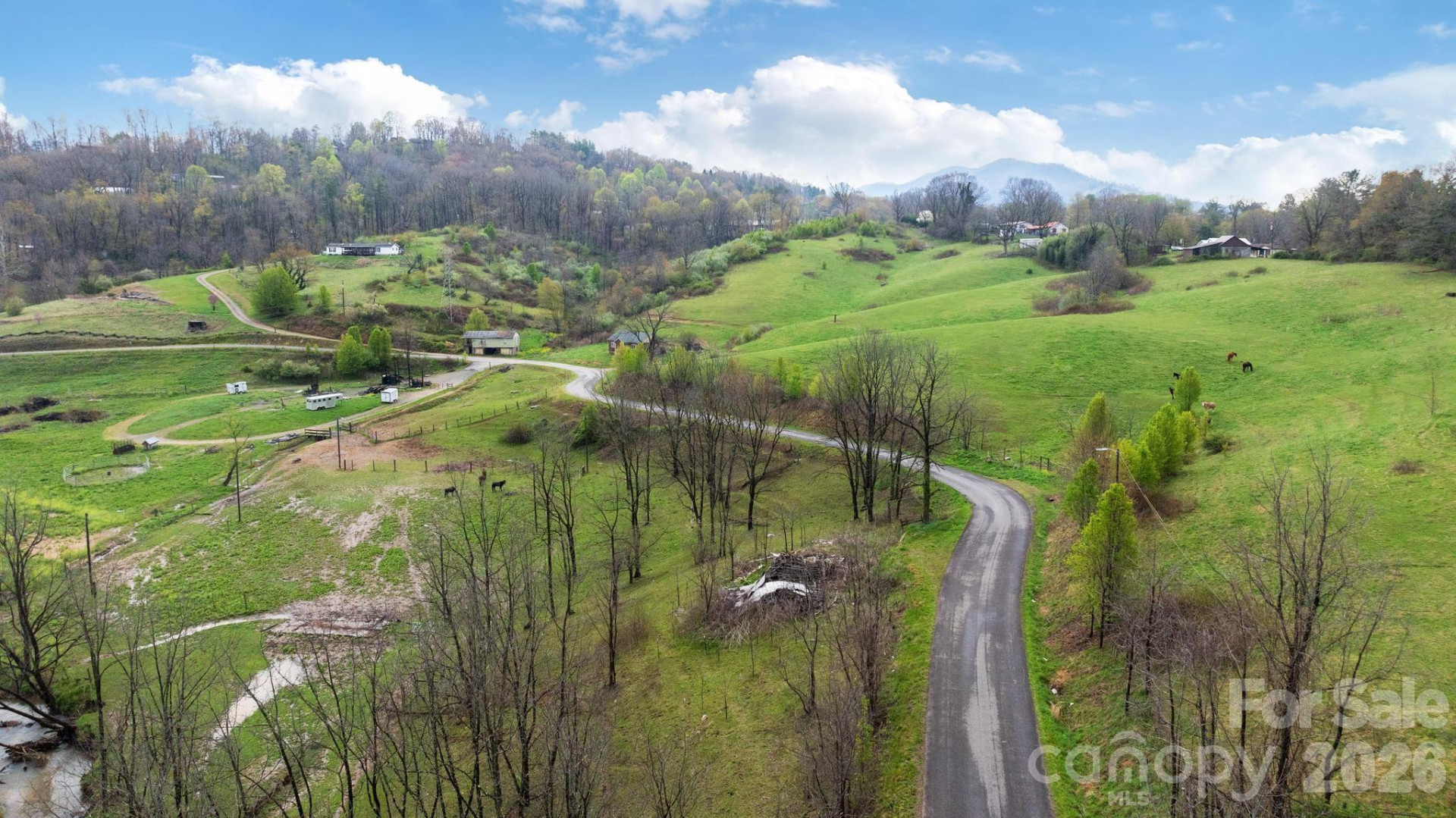 618 Beaverdam Street - Photo 9