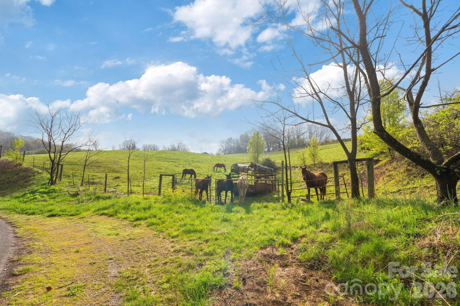 618 Beaverdam Street - Photo 10