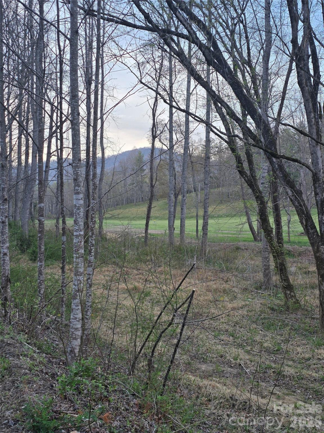 91 Miller Road - Photo 2