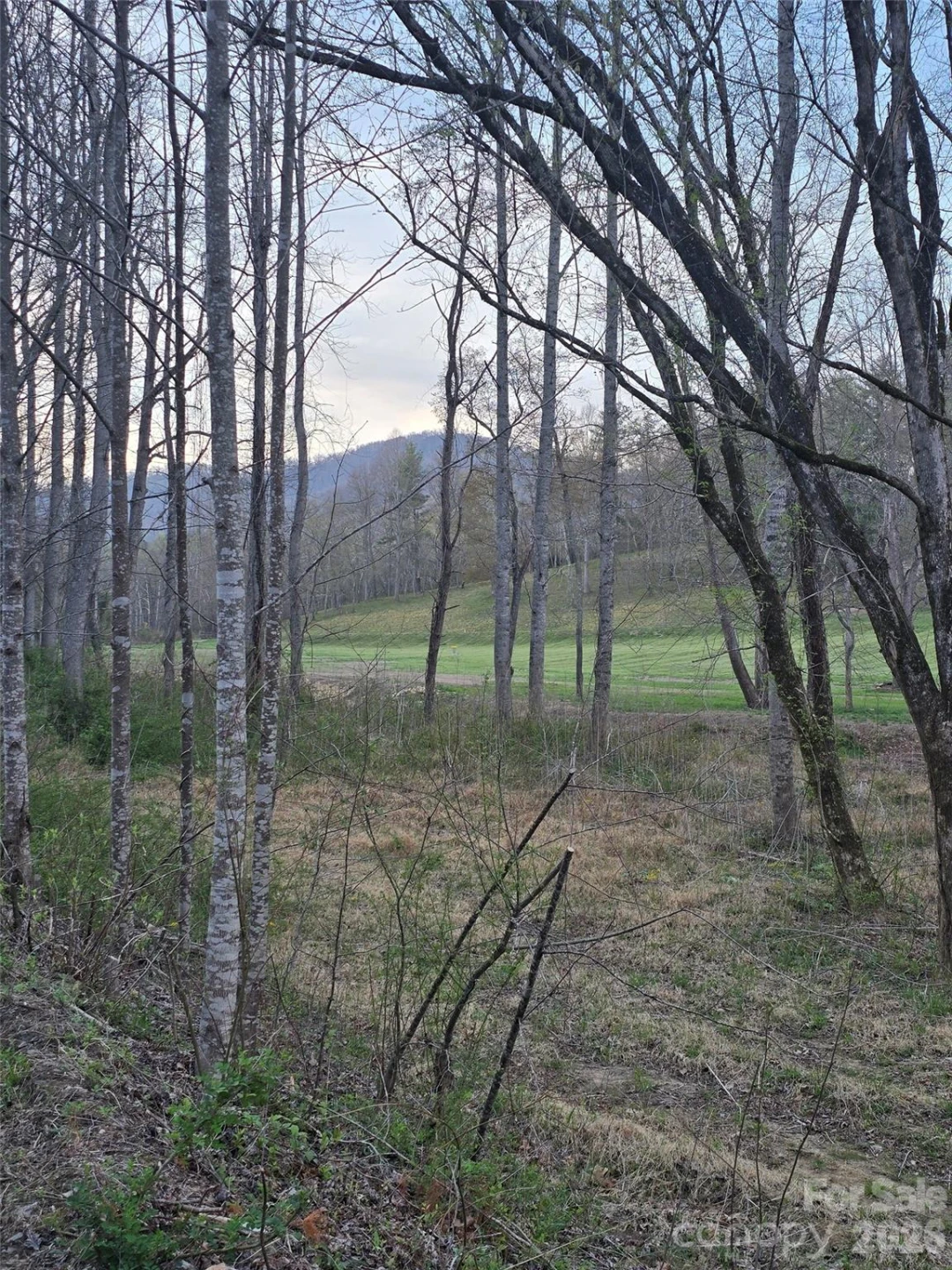 91 Miller Road - Photo 2