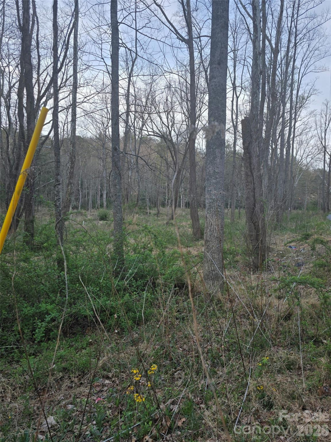 91 Miller Road - Photo 3