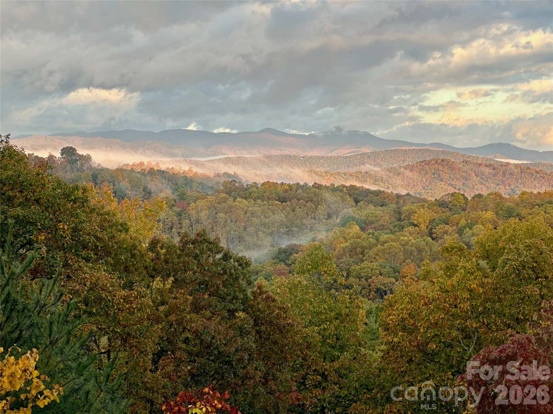 135 Crossvine Trail - Photo 42