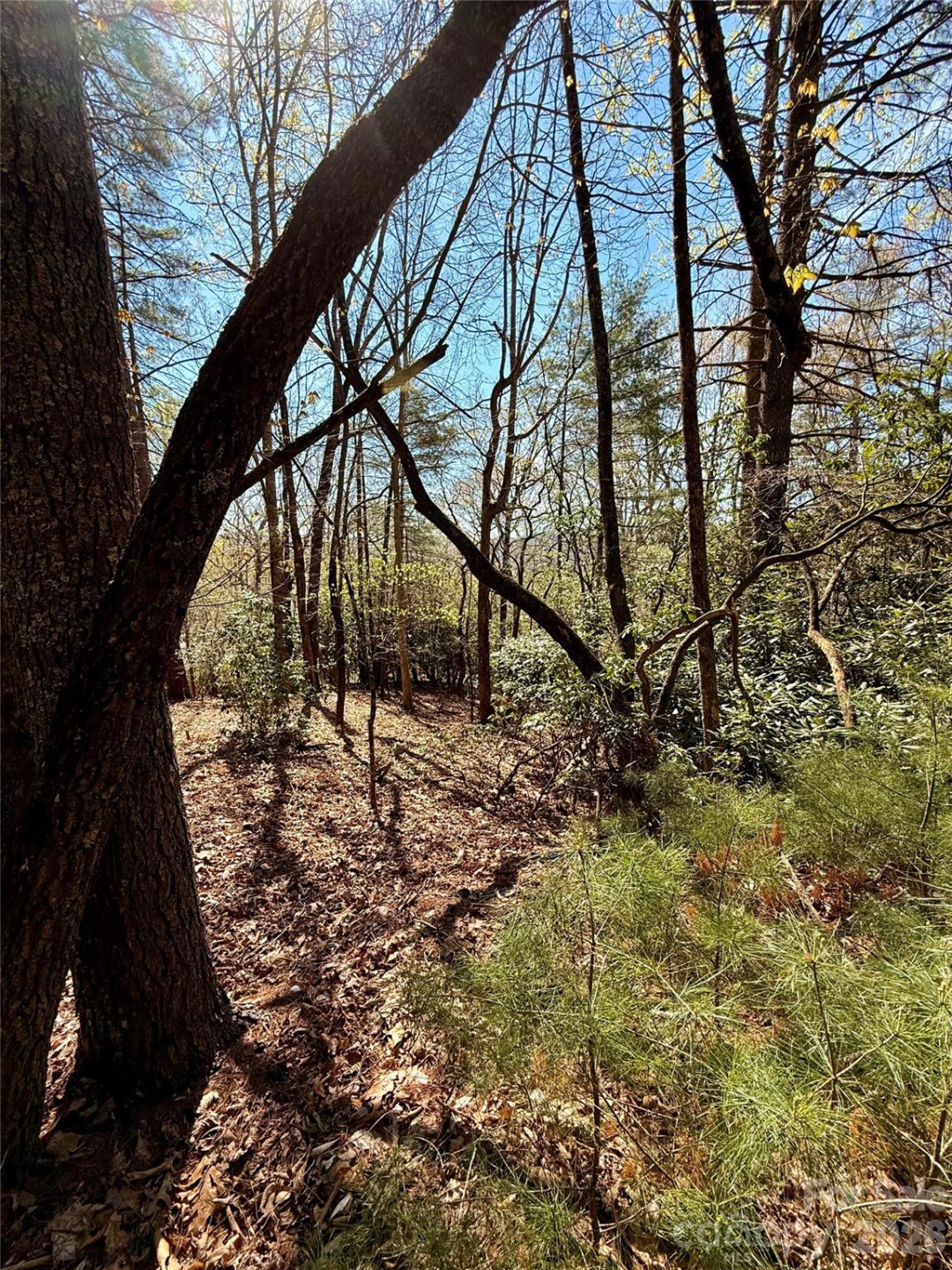 400 Emerald Hills Drive - Photo 3