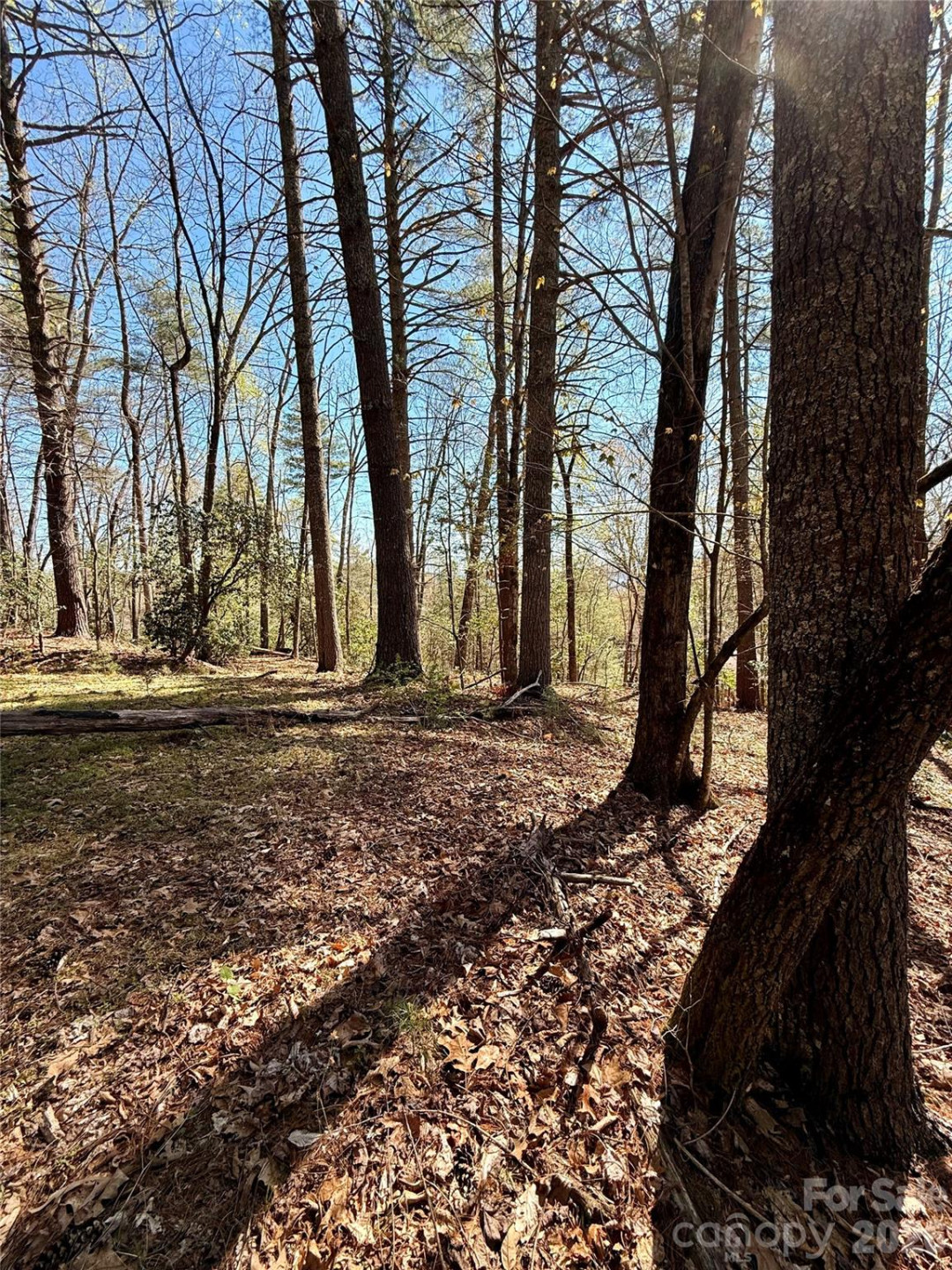 400 Emerald Hills Drive - Photo 4