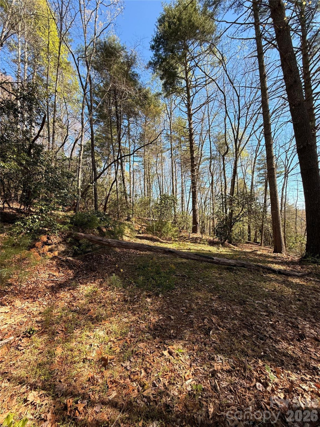 400 Emerald Hills Drive - Photo 5