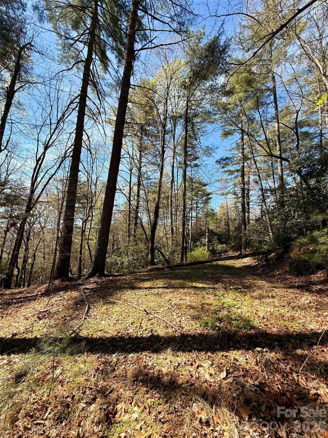 400 Emerald Hills Drive - Photo 6