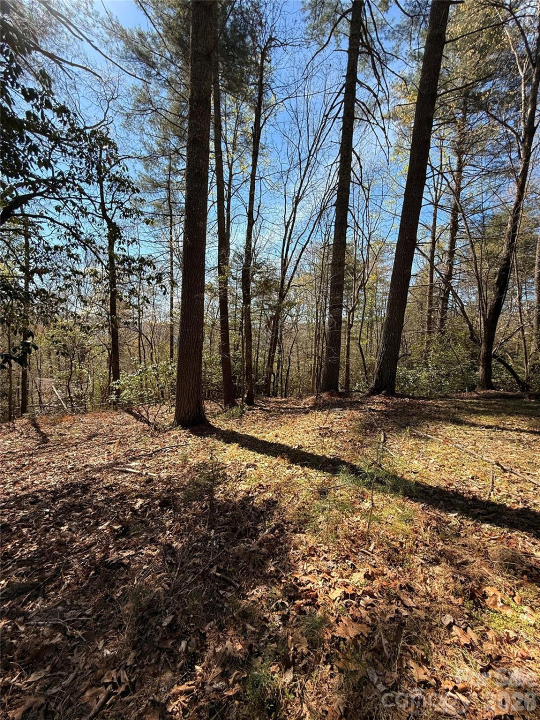 400 Emerald Hills Drive - Photo 7