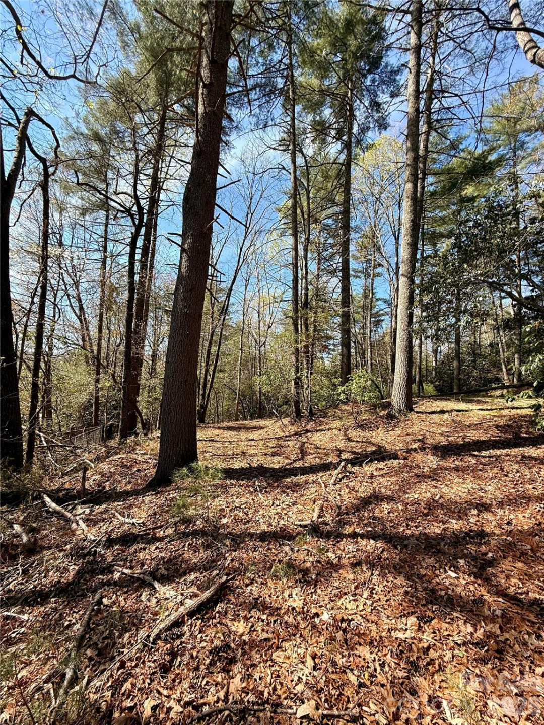 400 Emerald Hills Drive - Photo 8