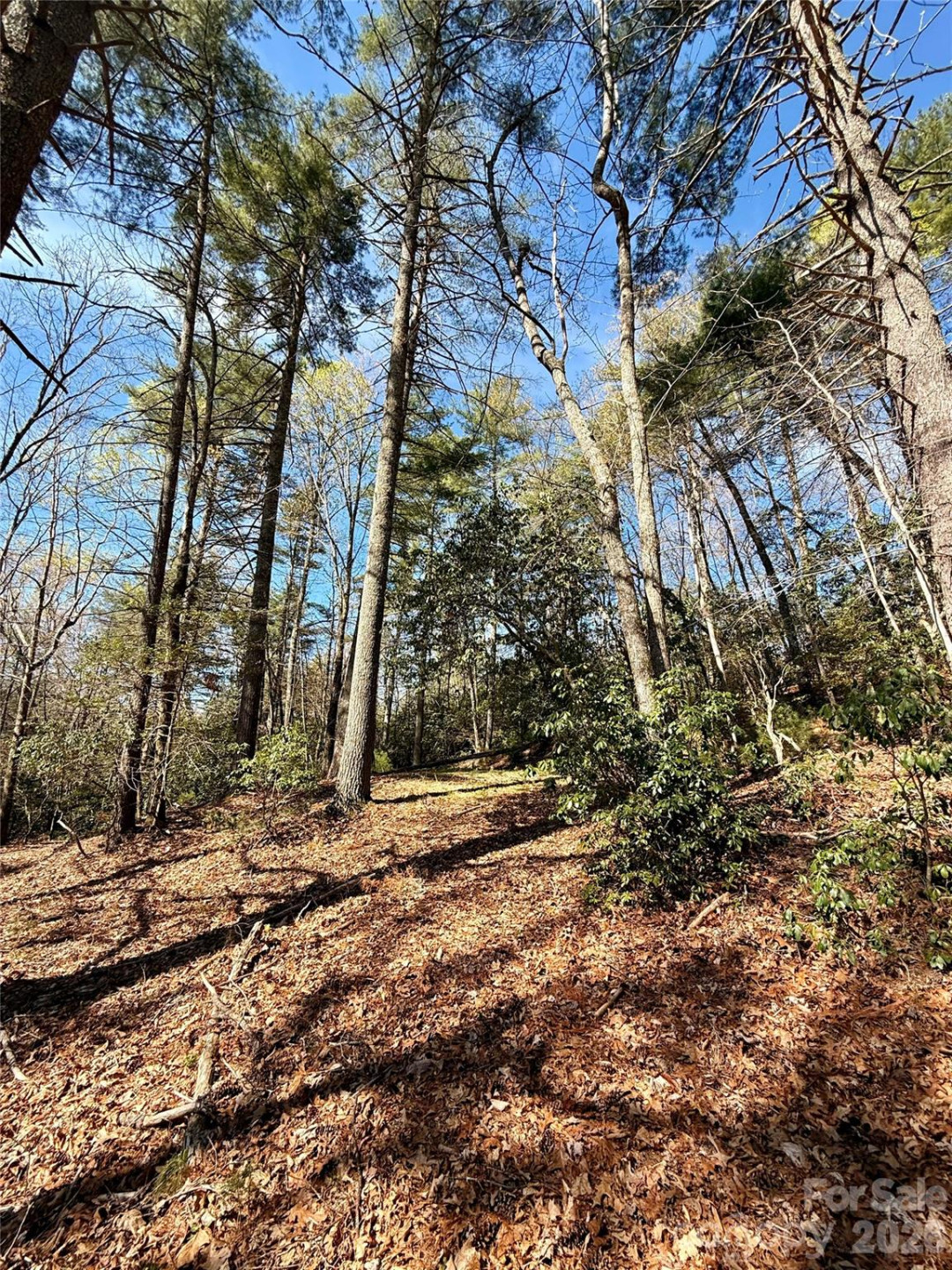 400 Emerald Hills Drive - Photo 9