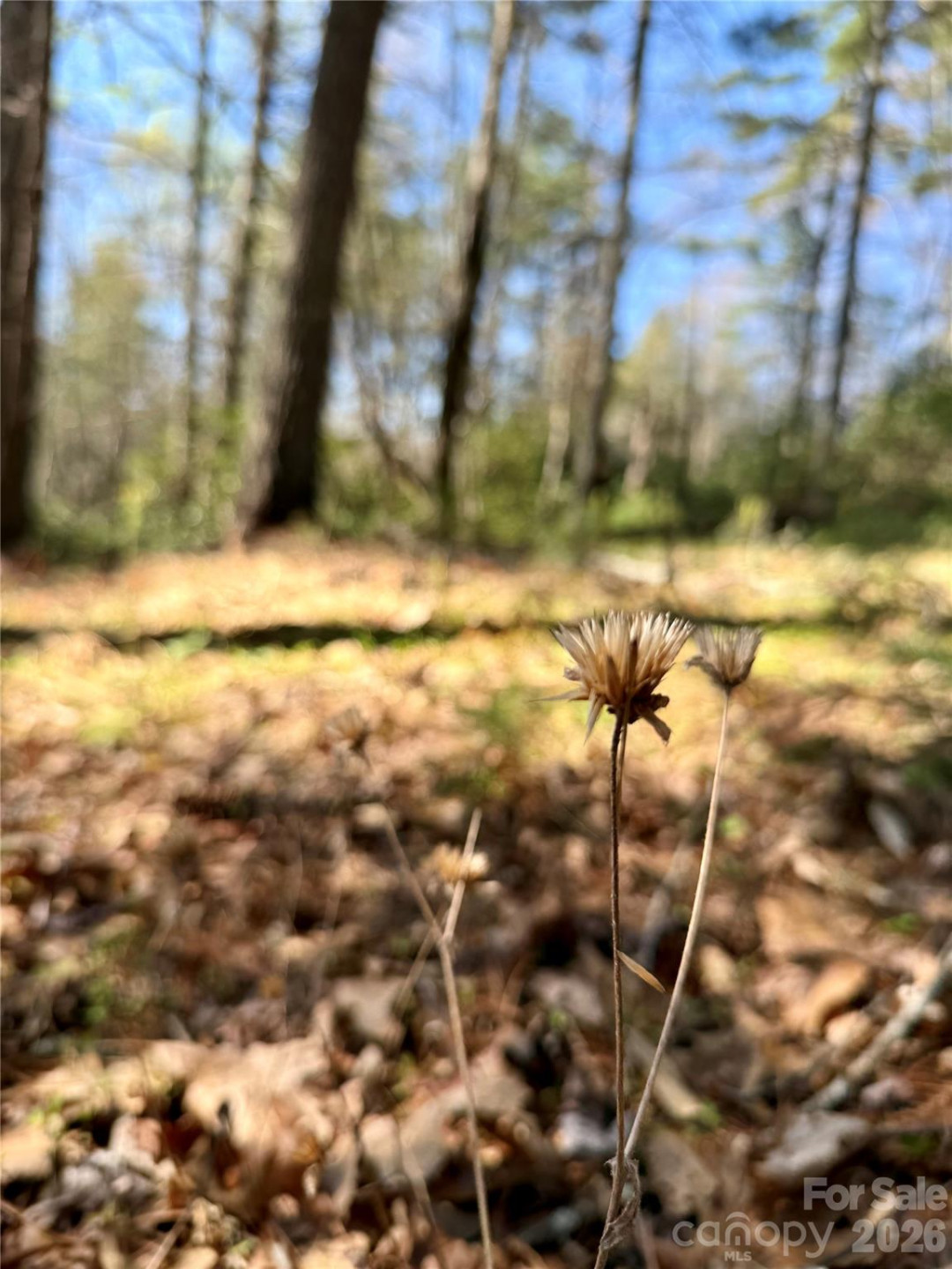 400 Emerald Hills Drive - Photo 10