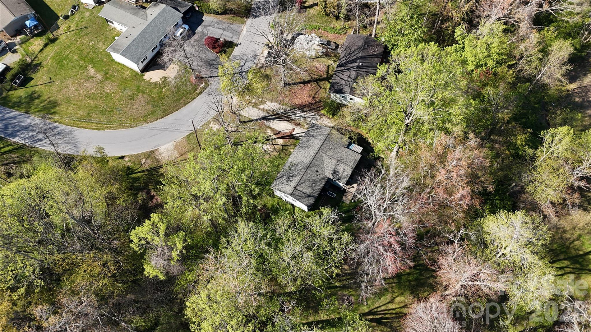 33 Springside Drive - Photo 2