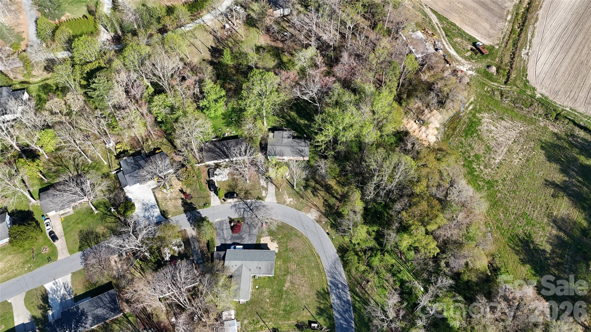 33 Springside Drive - Photo 3