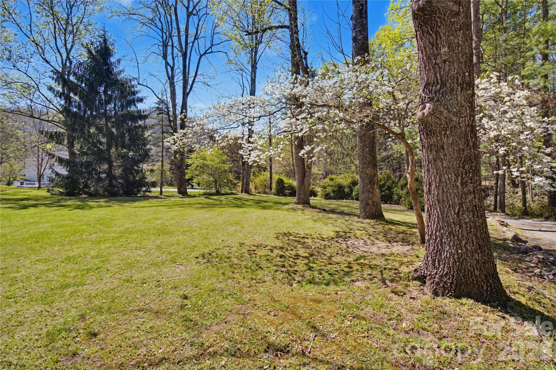 51 Hawks Landing - Photo 14