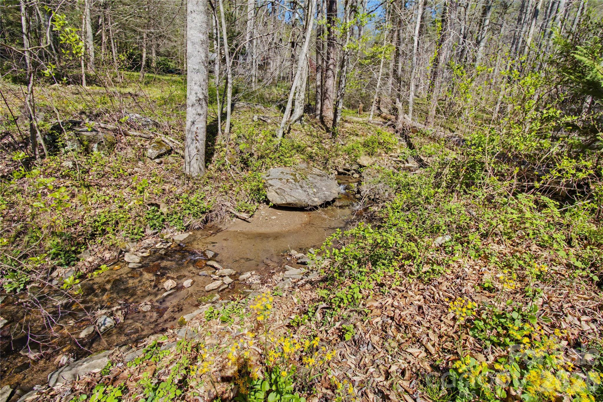 51 Hawks Landing - Photo 17
