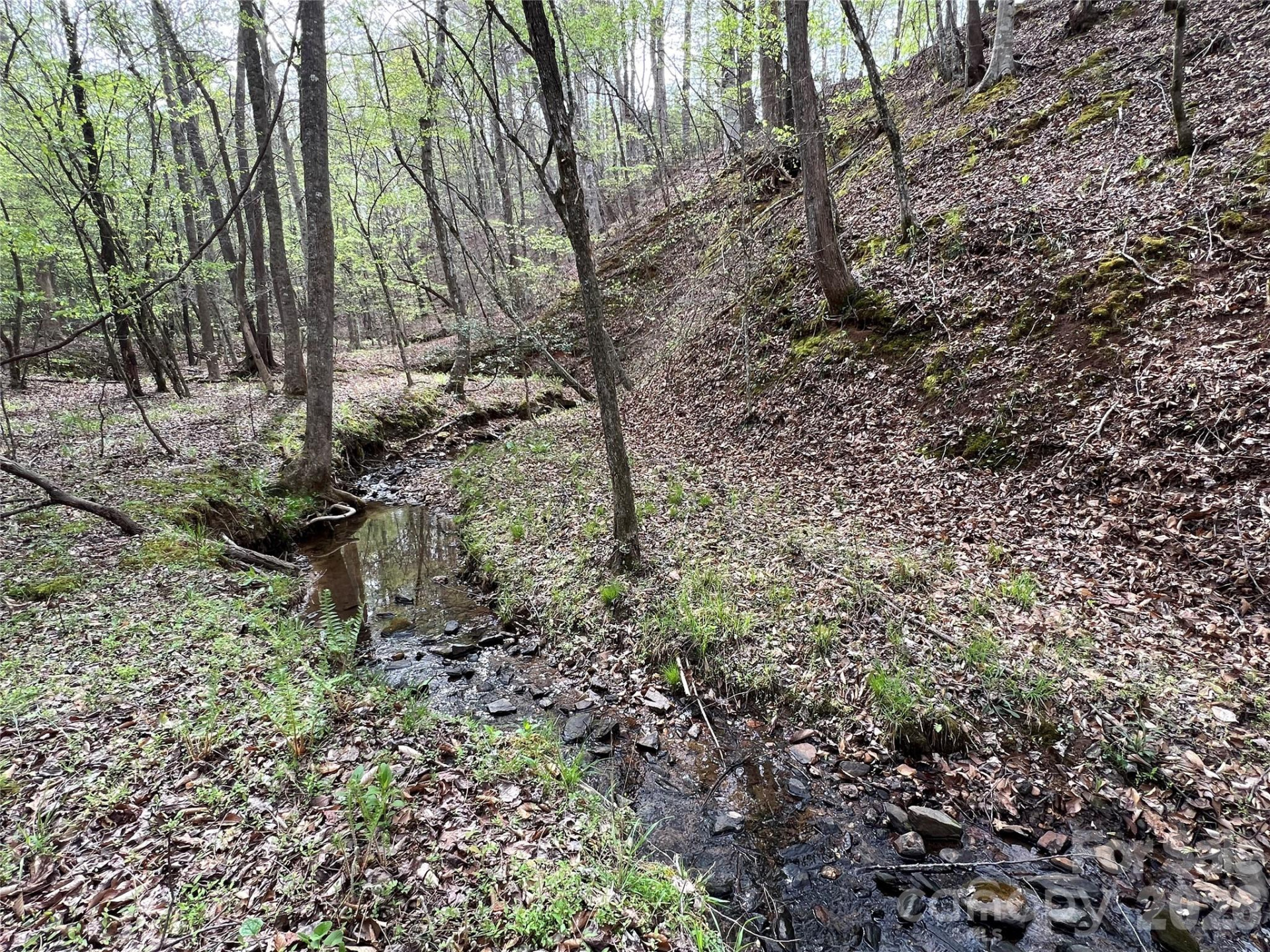 391 Clearwater Creek Parkway - Photo 45