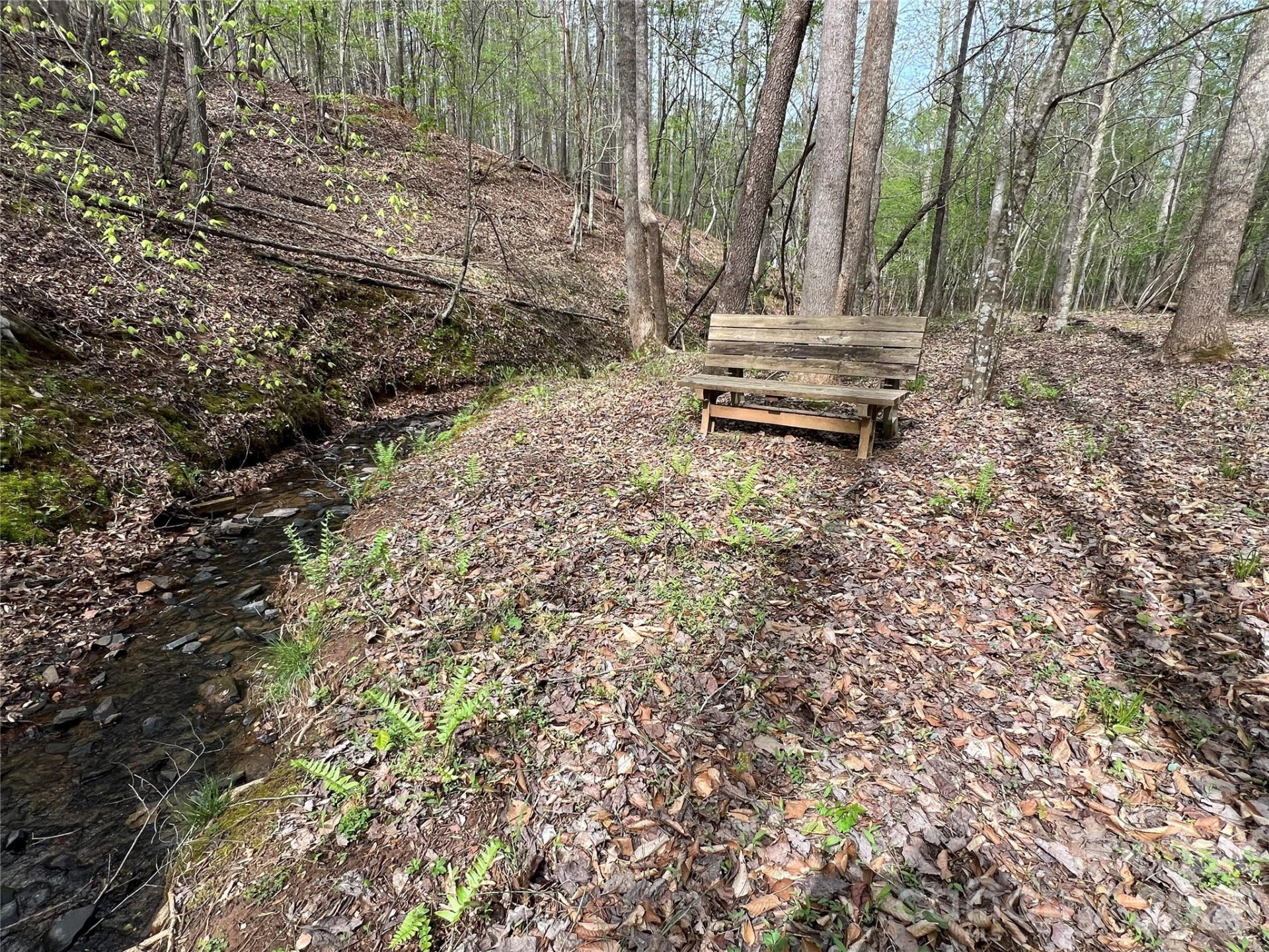 391 Clearwater Creek Parkway - Photo 46