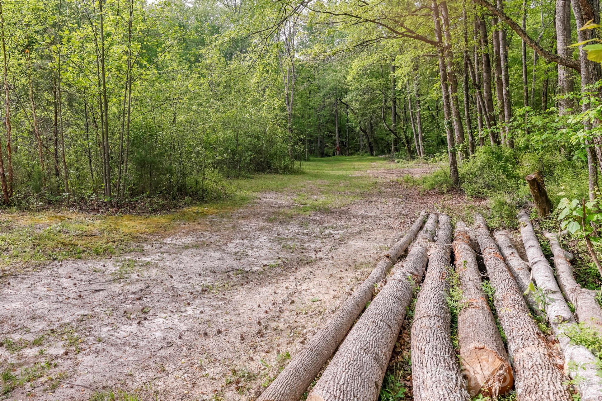 168 Robert Church Road - Photo 18