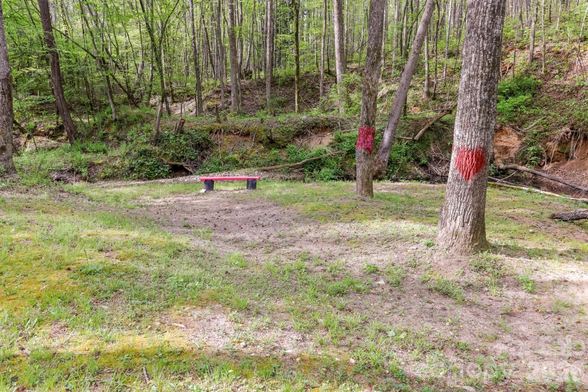 168 Robert Church Road - Photo 19