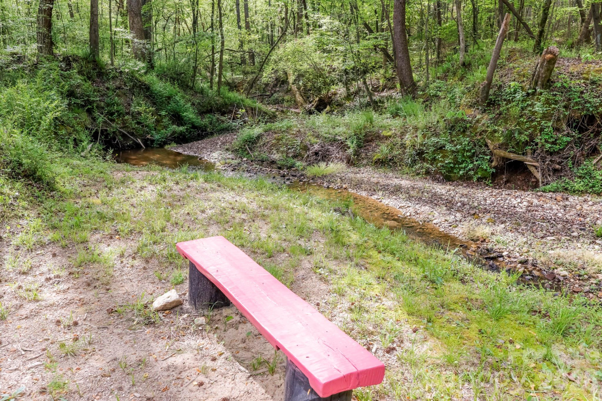 168 Robert Church Road - Photo 20