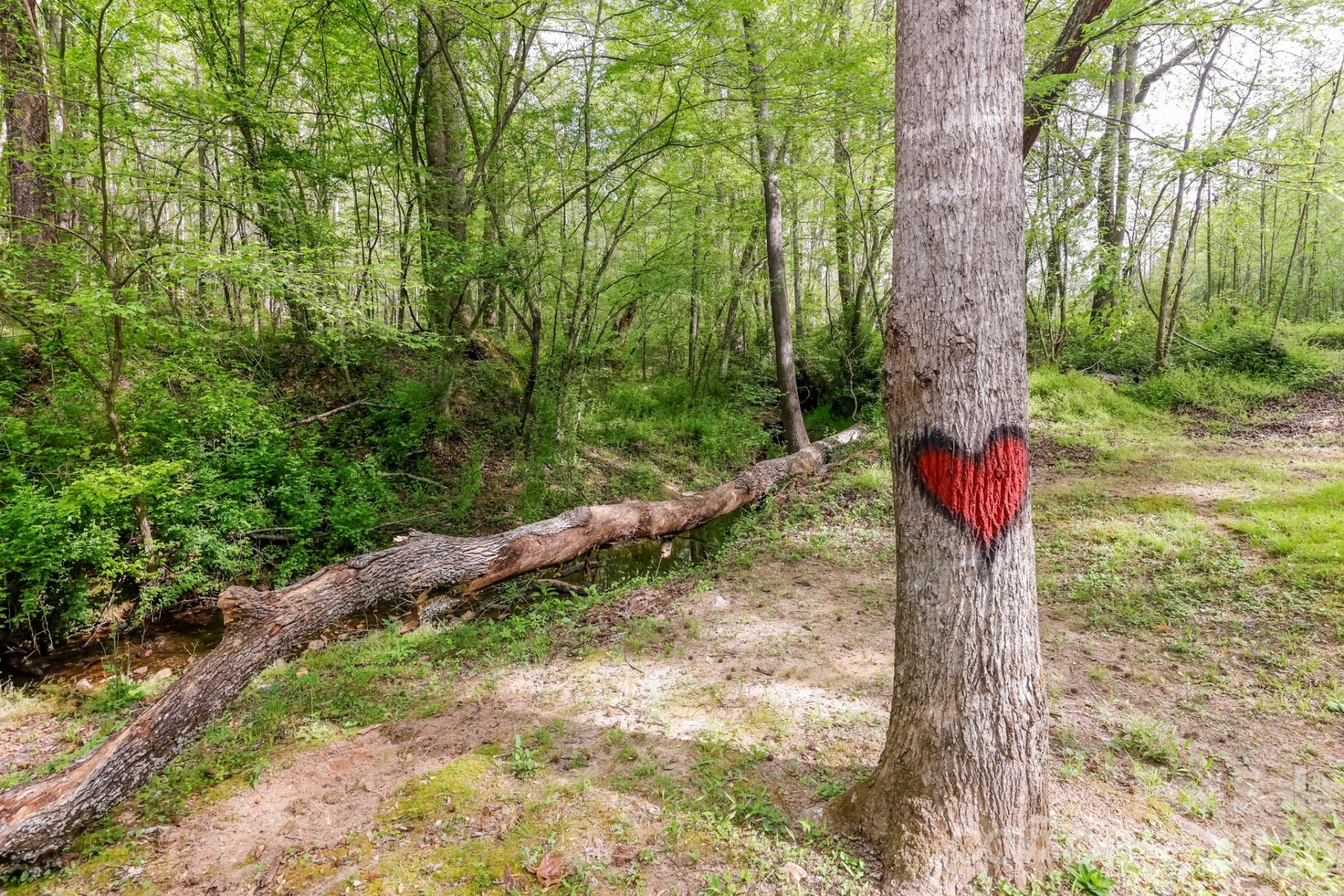 168 Robert Church Road - Photo 22