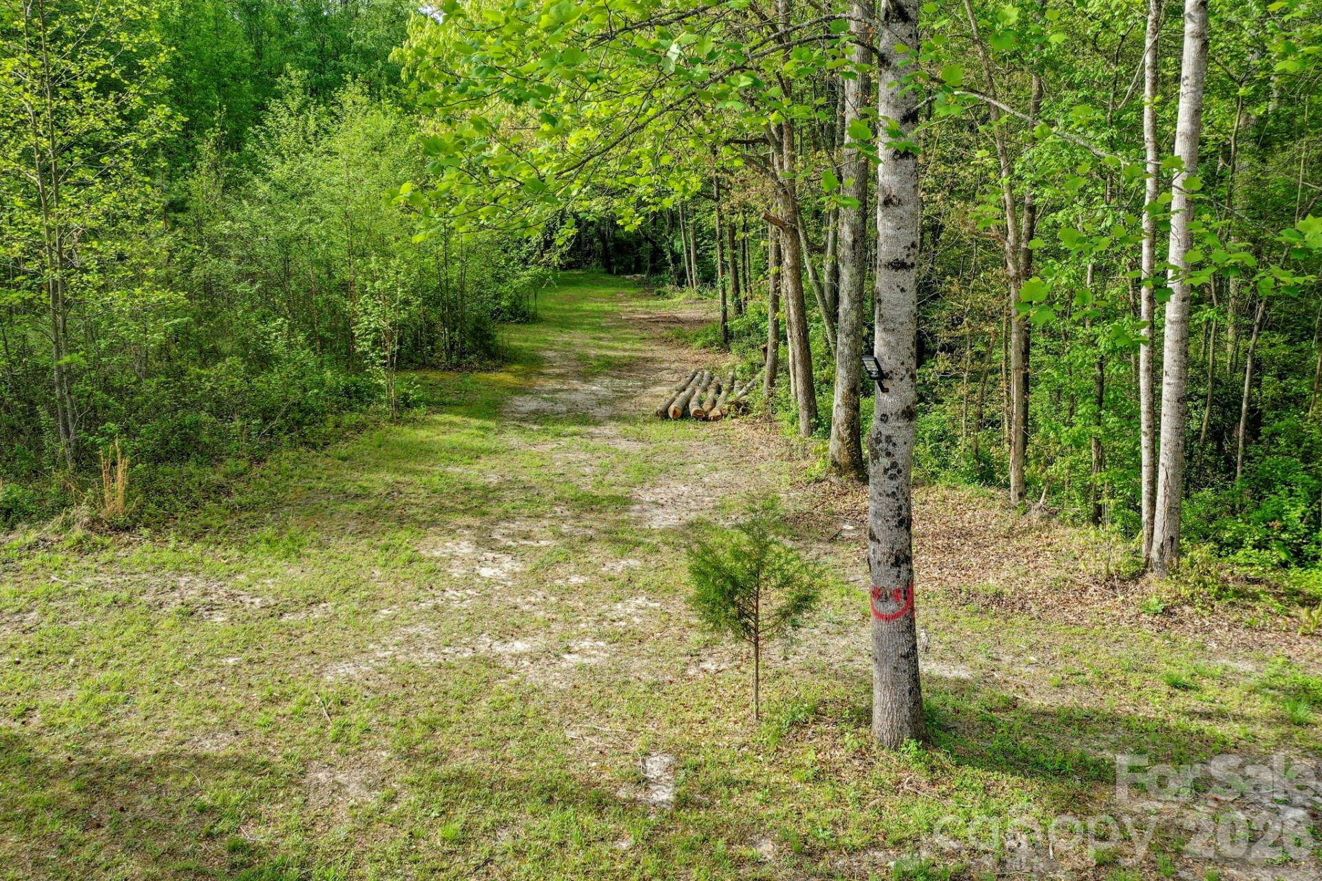 168 Robert Church Road - Photo 28