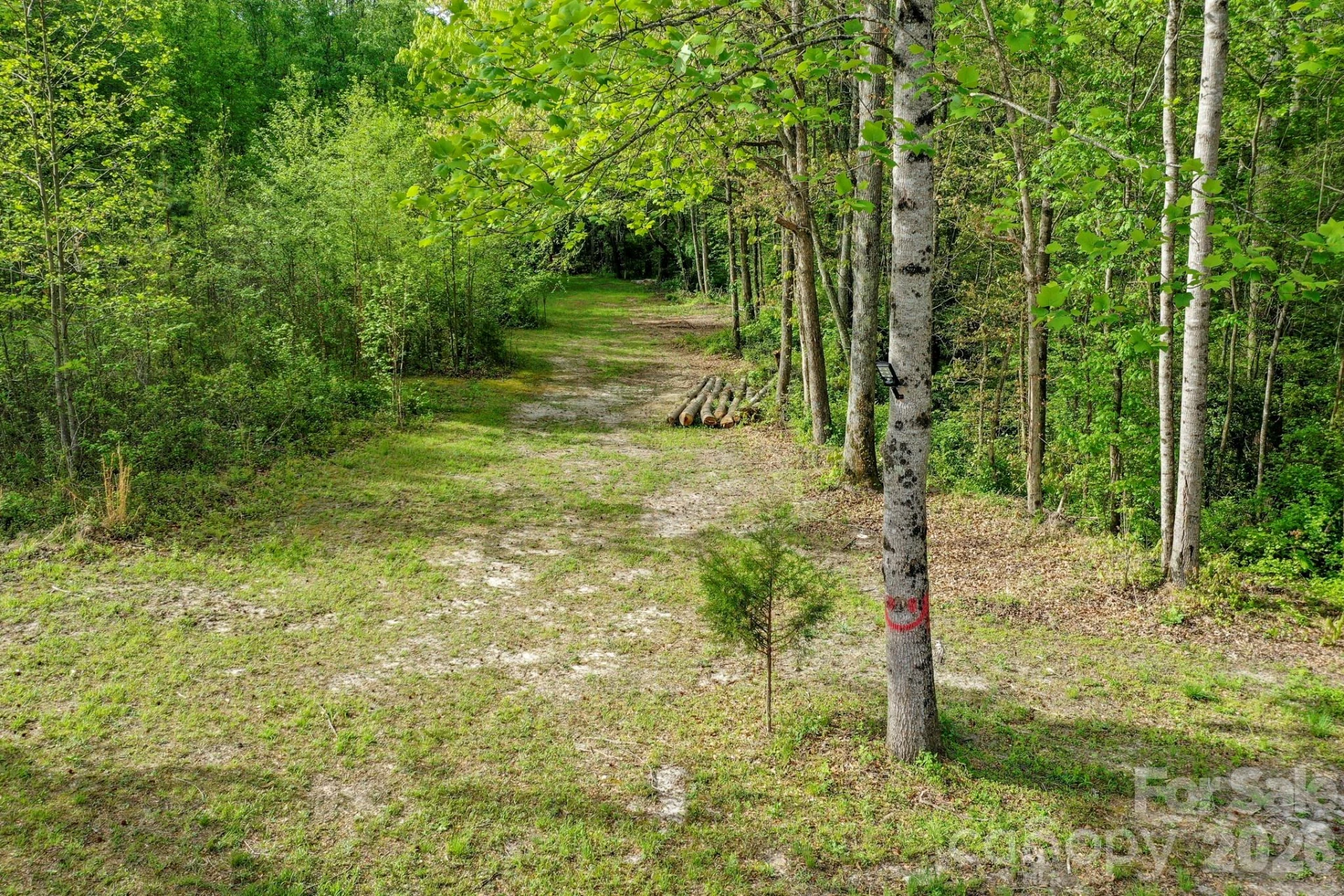 168 Robert Church Road - Photo 28