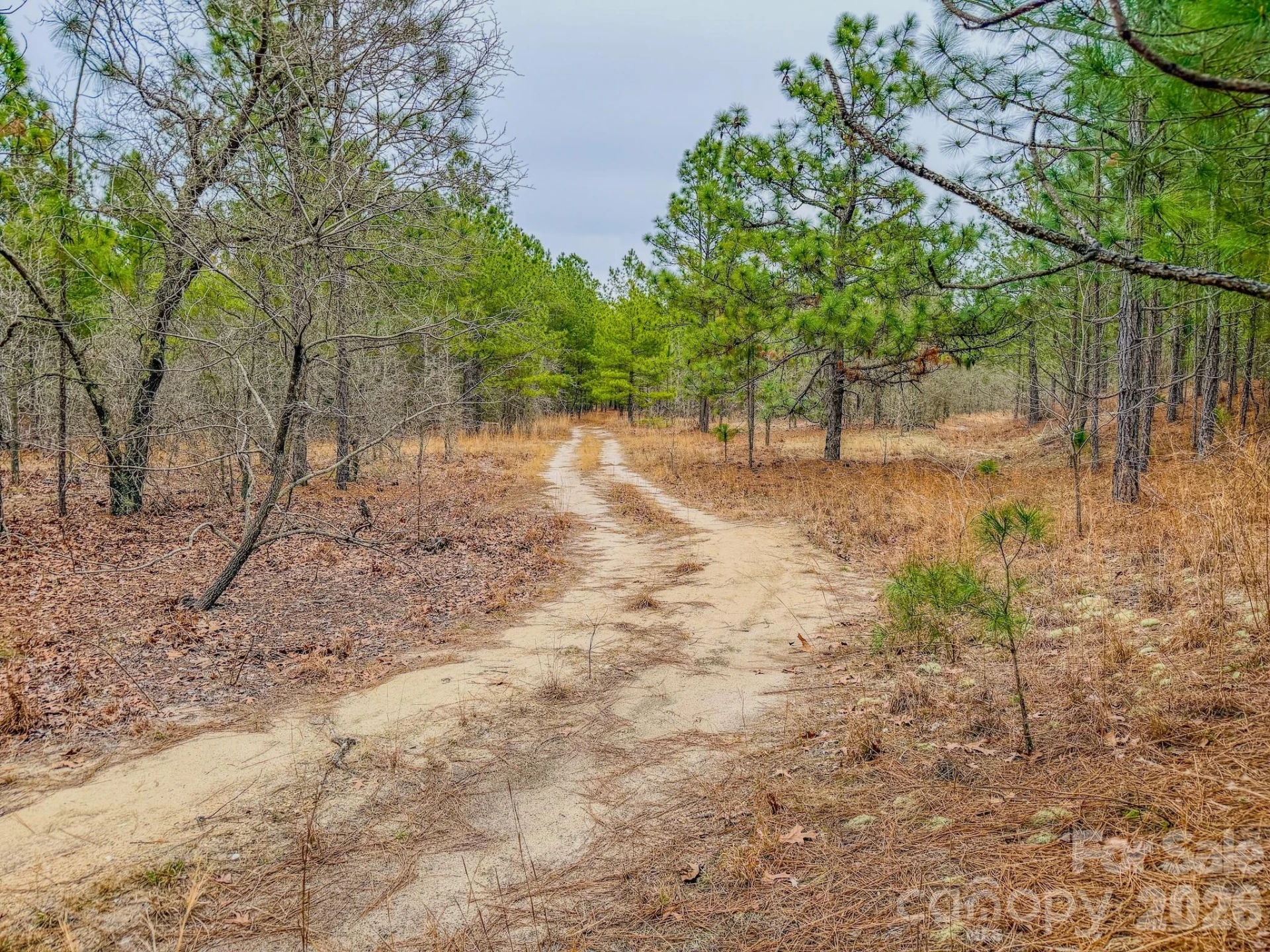 0 Lobelia Road - Photo 16