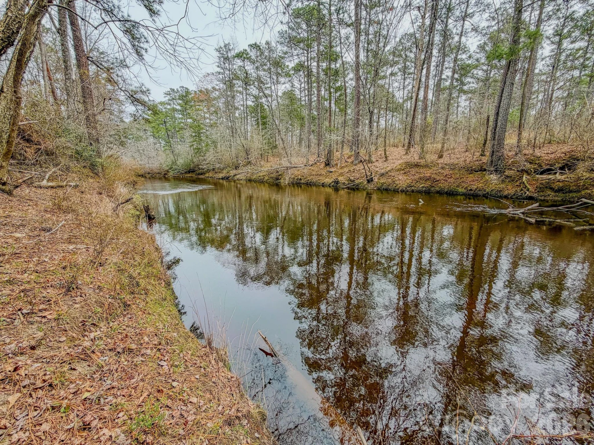 0 Lobelia Road - Photo 19