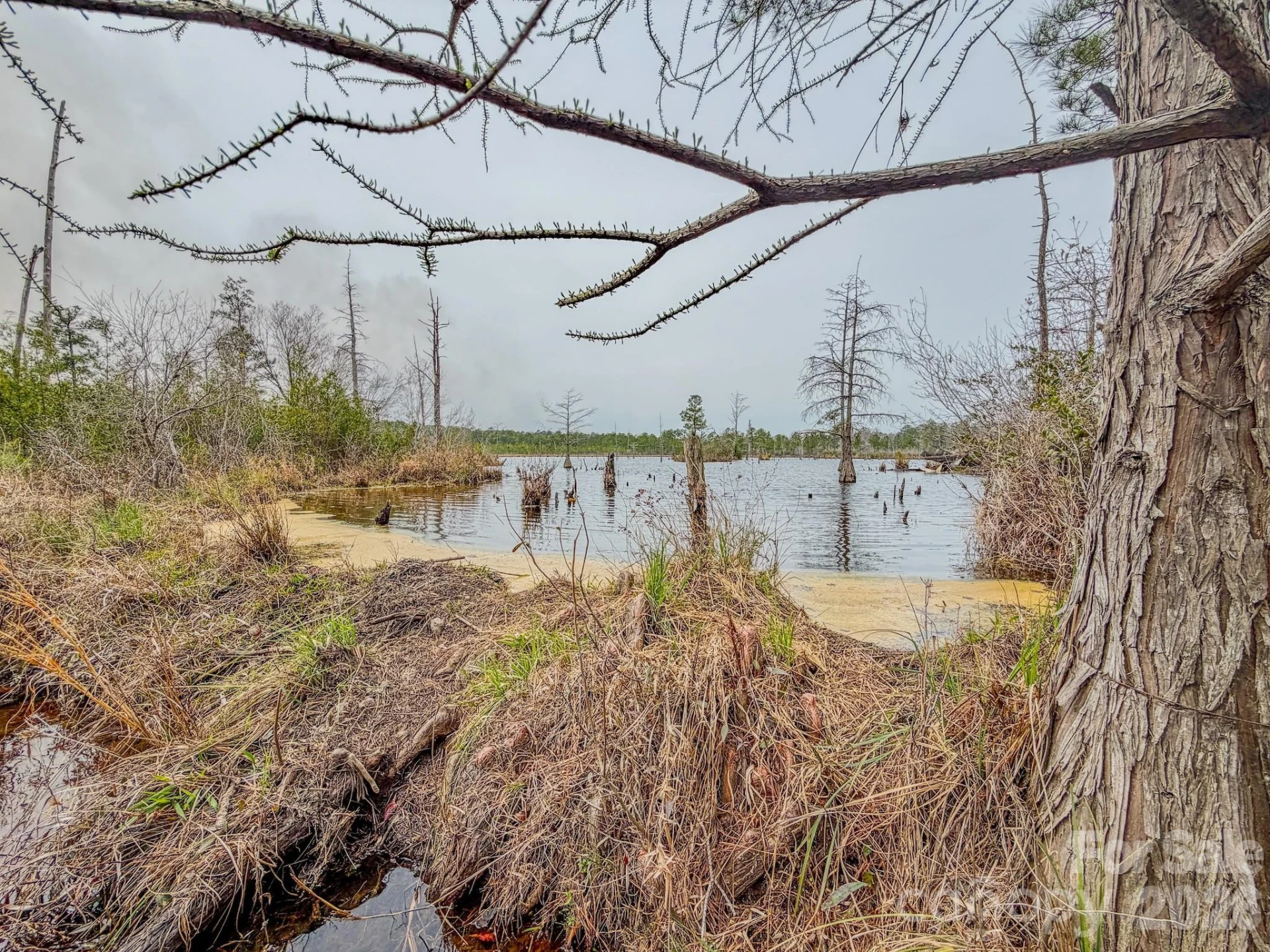 0 Lobelia Road - Photo 21