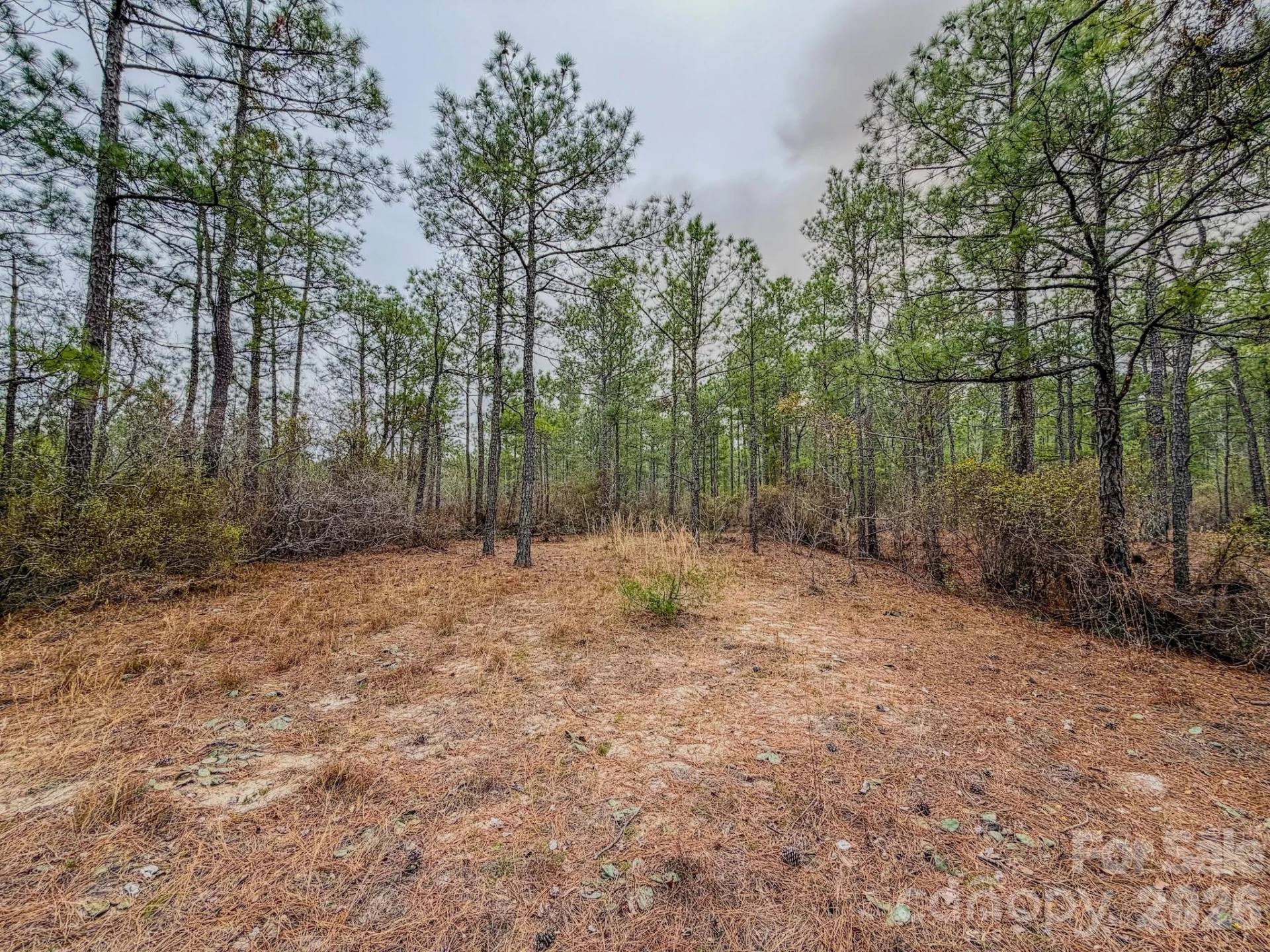 0 Lobelia Road - Photo 25